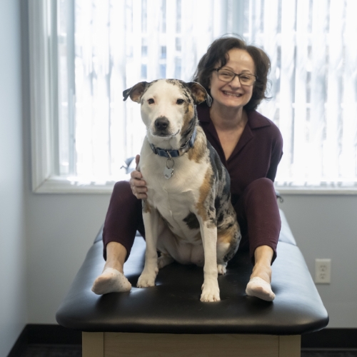 Clifton-Park-Physical-Therapy-Clifton-Park-NY