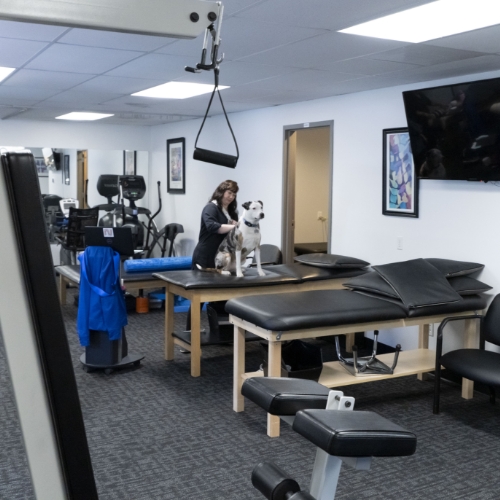 Clifton-Park-Physical-Therapy-Clifton-Park-NY